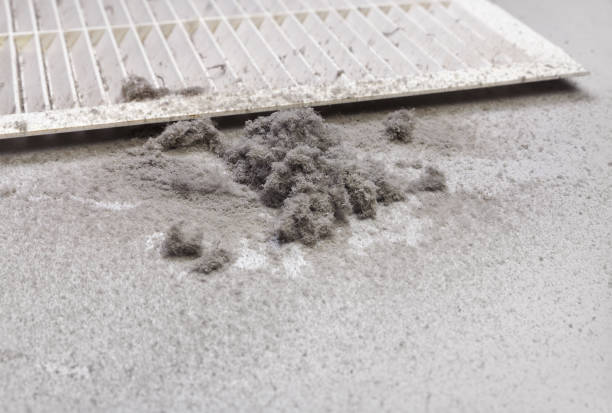 Best HVAC Duct Inspection Services  in Bloomington, TX
