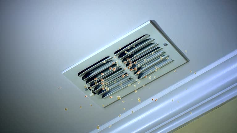 Best Air Vent Cleaning Services  in Bloomington, TX