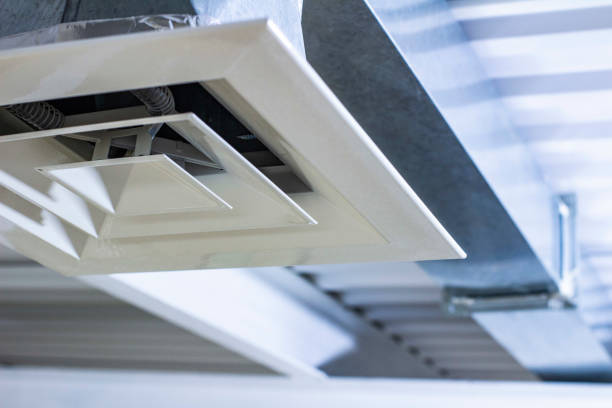 Best Air Duct Sanitizing Services  in Bloomington, TX