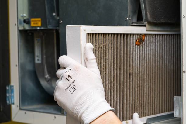 Best Air Duct Cleaning Near Me  in Bloomington, TX