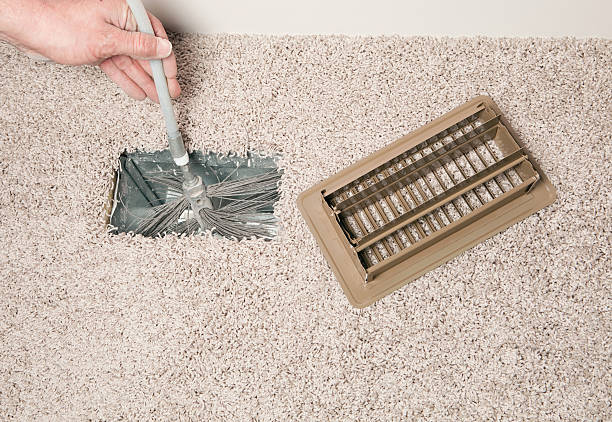 Best Air Duct Mold Removal  in Bloomington, TX